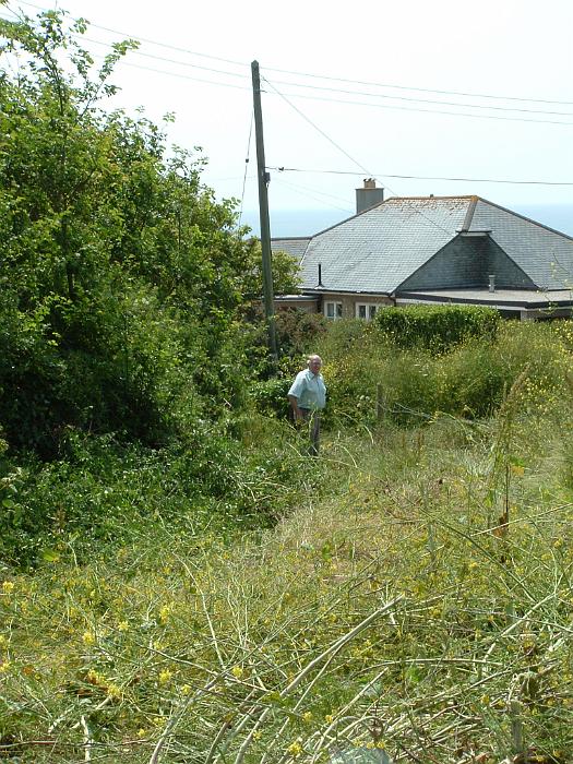 2 Clearing the Field (22)